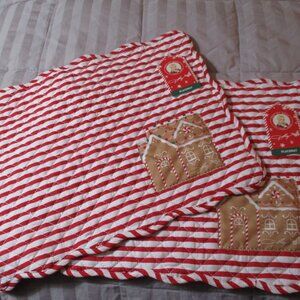 Set of Two DG Dollar General Gingerbread Striped Quilted Placemats Christmas NWT